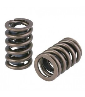 Valve spring kit HONDA K20 / K24 TITANIUM VALVES