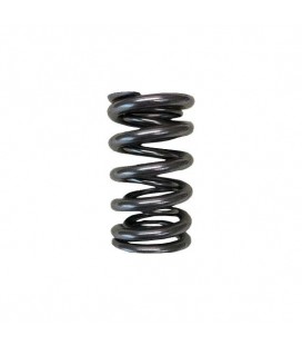 VALVE SPRINGS - DUAL for HIGH LIFT CAMS(Honda/Acura K20A2/K20A/K24A2/F20C1/F22C1)